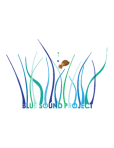 Blue Sound Project logo