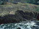 [Mastocarpus stellatus] and [Chondrus crispus] on very exposed to moderately exposed lower eulittoral rock