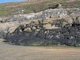 [Porphyra purpurea] and [Ulva] spp. on sand-scoured mid or lower eulittoral rock