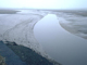 <i>Hediste diversicolor</i> and oligochaetes in littoral mud