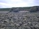 Barnacles and [Littorina] spp. on unstable eulittoral mixed substrata