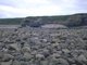 Barnacles and Littorina spp. on unstable eulittoral mixed substrata