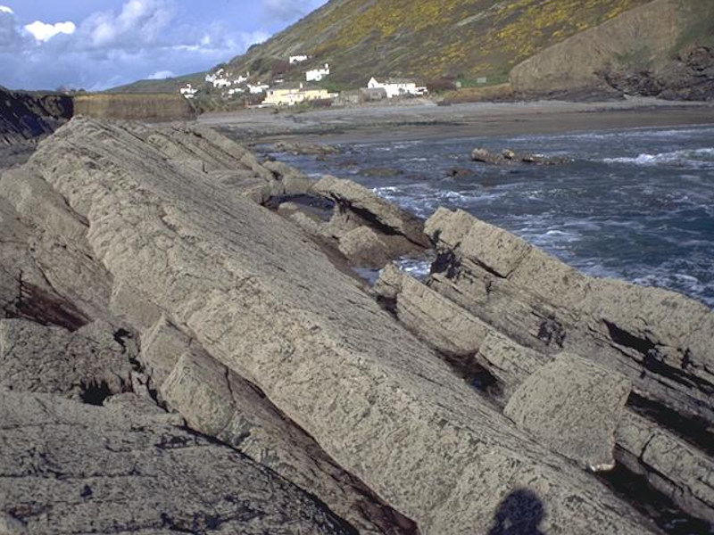 Chthamalus spp. on exposed upper eulittoral rock