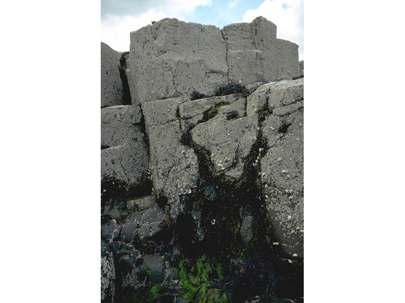 Semibalanus balanoides, Patella vulgata and Littorina spp. on exposed to moderately exposed or vertical sheltered eulittoral rock