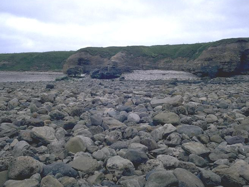 Semibalanus balanoides on exposed to moderately exposed or vertical sheltered eulittoral rock