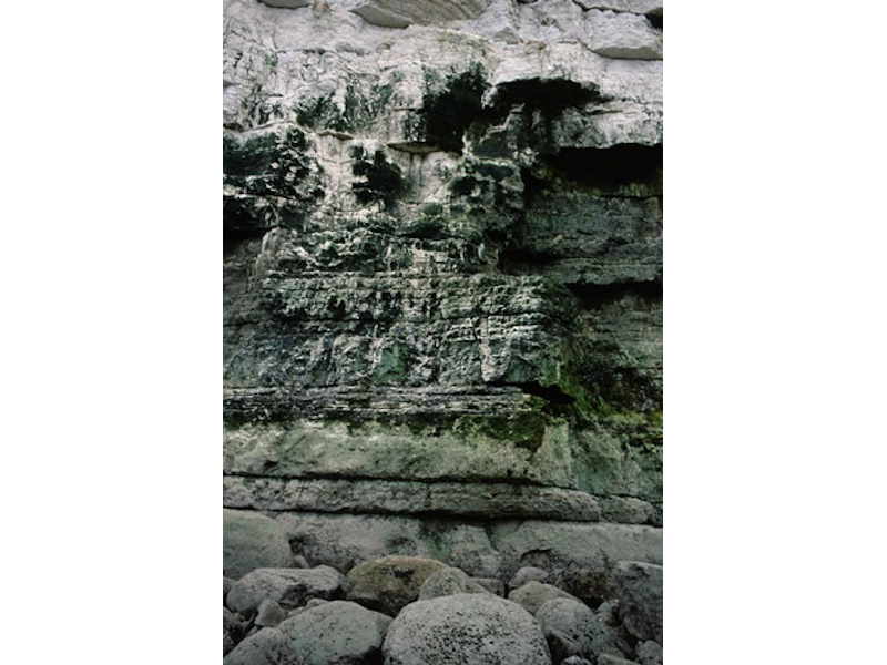 [A1-442_LR-FLR-CvOv-GCv_JNCC_1]: Green algal films on upper and mid-shore cave walls and ceilings