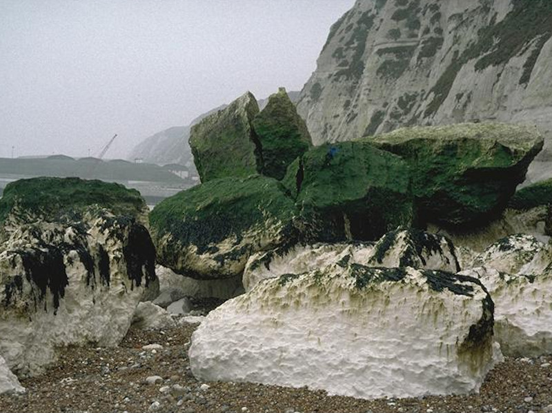 Porphyra purpurea and Enteromorpha spp. on sand-scoured mid or lower eulittoral rock