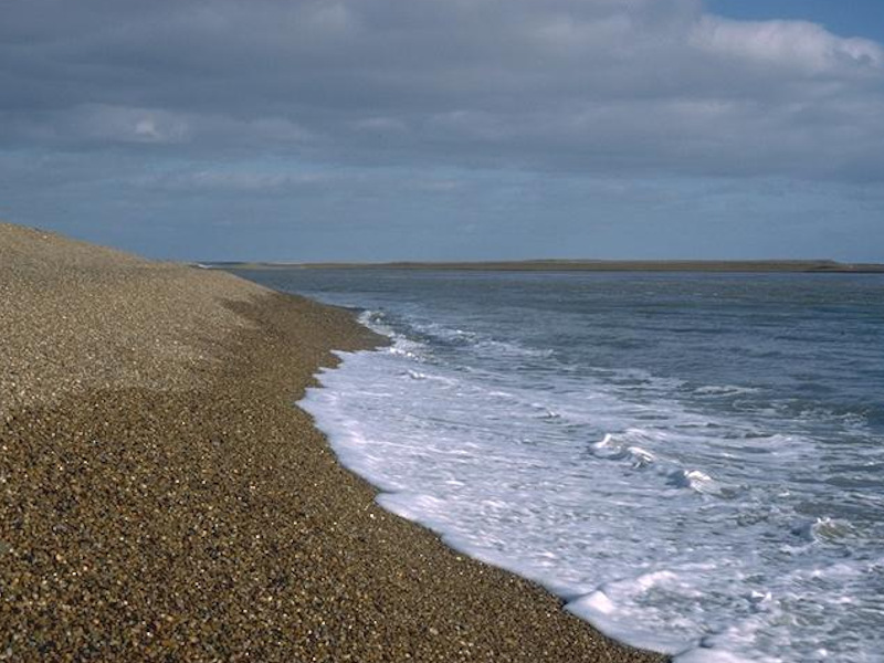 Barren littoral shingle