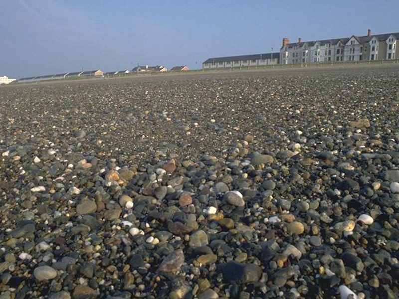 Barren littoral shingle