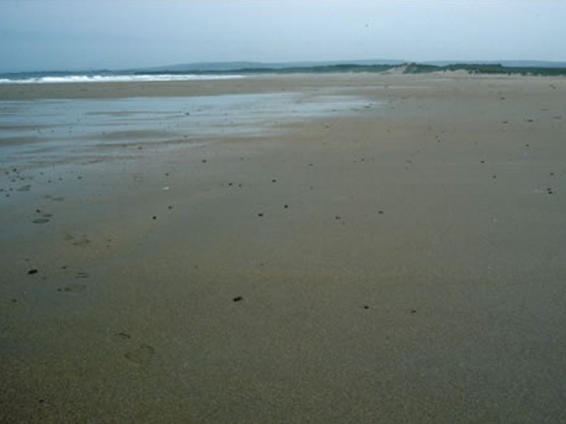 Barren littoral coarse sand