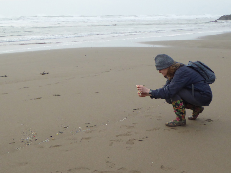 Barren or amphipod-dominated mobile sand shores