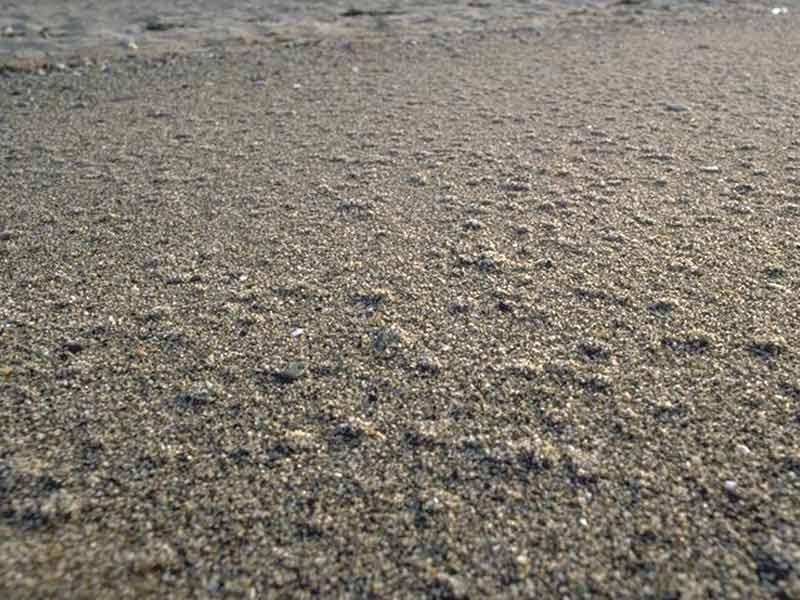 Gravel and sand shore.