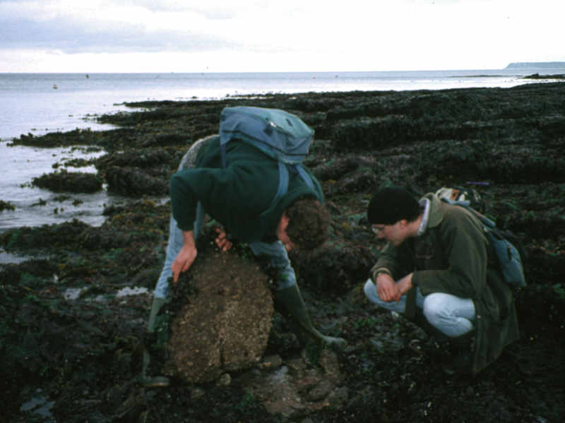 Surveying an underboulder community.