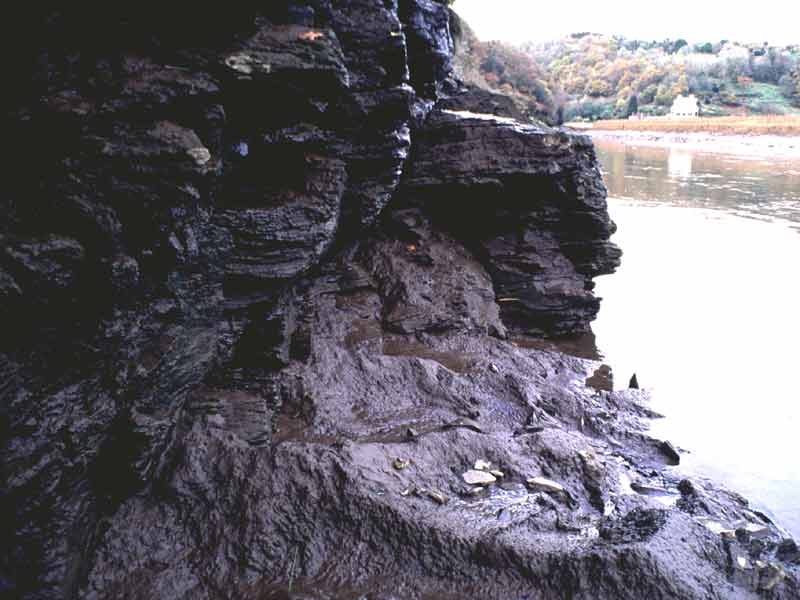 SIR.CorEle exposed at low tide.