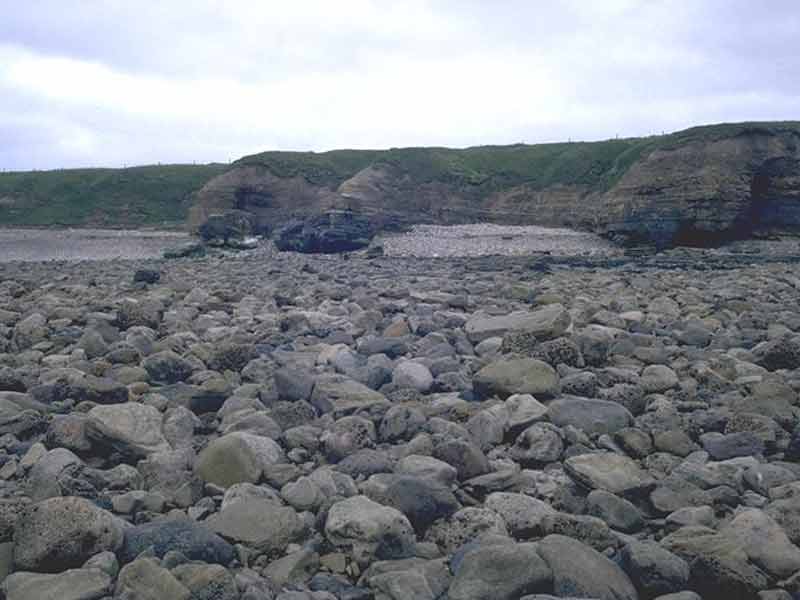 Boulder shore backed by low cliffs.