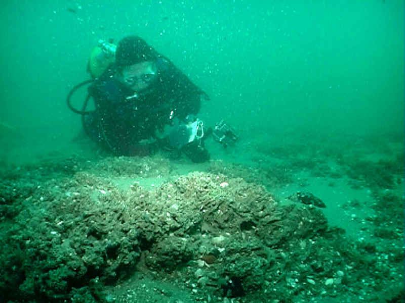 Photograph of diver with Sabellaria reef mounds in foreground, off Swanage, Dorset.