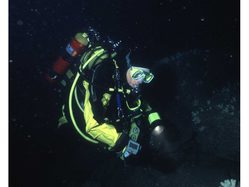 Modal: Diver on the seabed at the Hand Deeps off Plymouth.