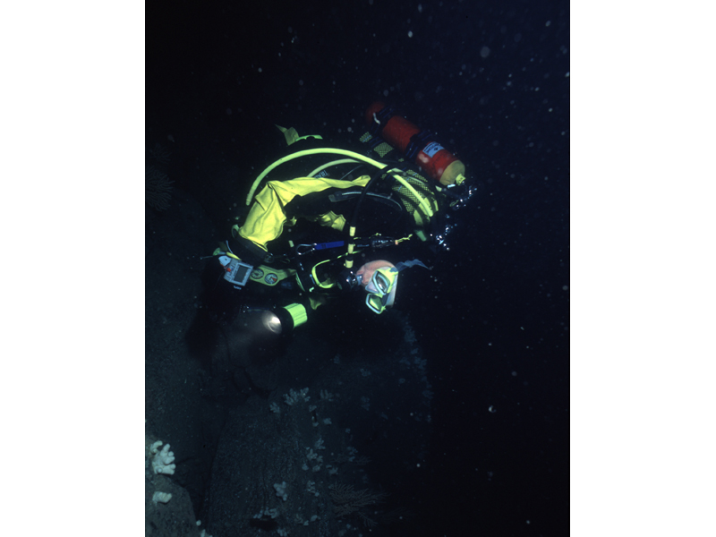 Modal: Diver ascending from the seabed.