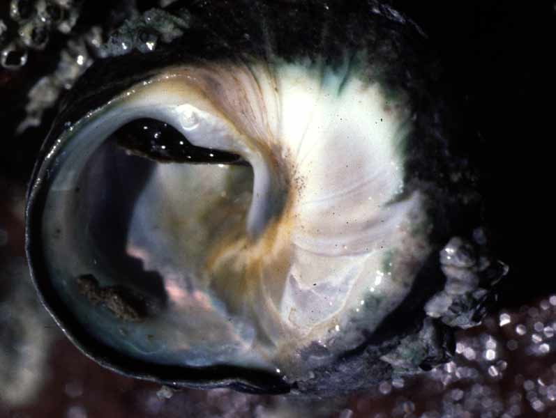 Close up view of aperture.